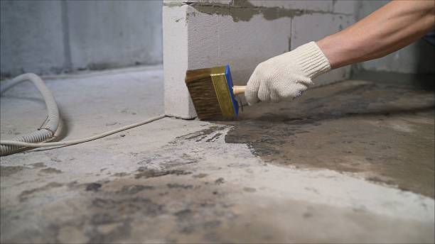 SJ Waterproofing Pros Waterproofing coverage map for Roselle, NJ and surrounding area